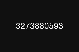 3273880593