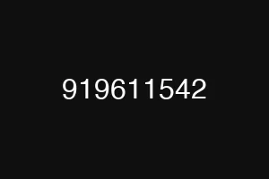 919611542