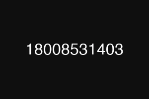 18008531403