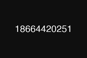 18664420251