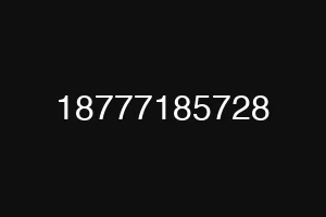 18777185728