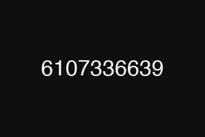 6107336639