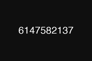 6147582137