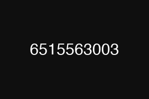 6515563003