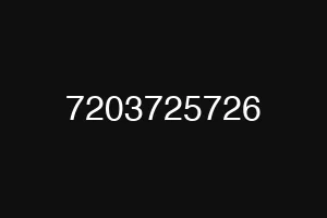 7203725726