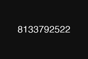 8133792522