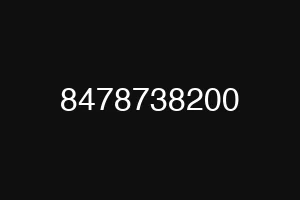 8478738200