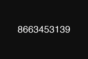 8663453139